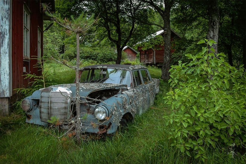 The German spent ten years searching all over Europe for cemeteries of old cars - from tractors to Mercedes The German spent ten years searching all over Europe for cemeteries of old cars - from tractors to Mercedes