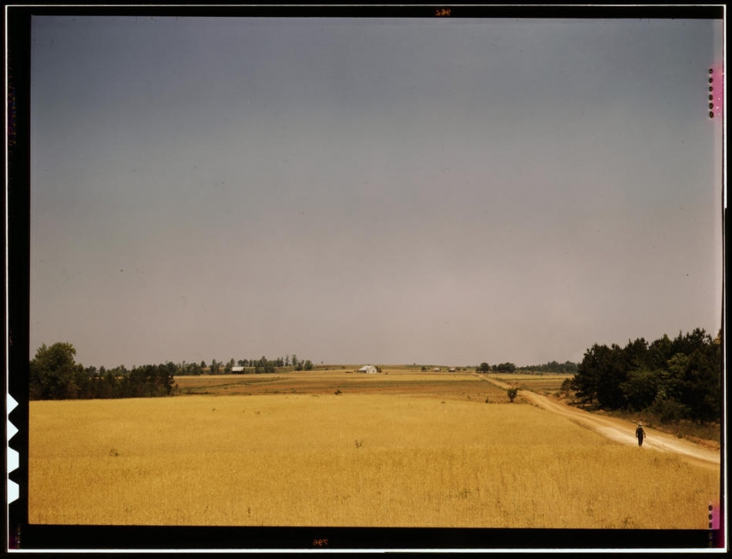 The Great Depression in the United States in color