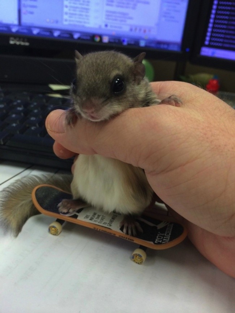 The guy decided to save this baby, not even knowing how to take care of him