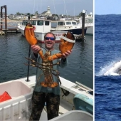 The humpback whale swallowed the diver and spat him back out