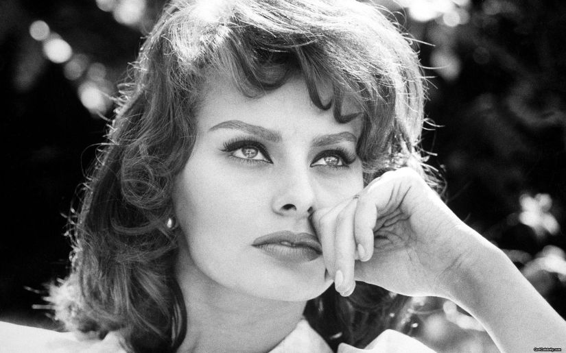 The incomparable Sophia Loren, the most beautiful Italian woman, turned 86 today