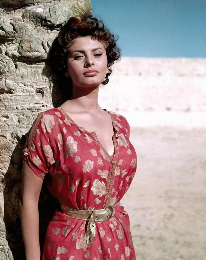 The incomparable Sophia Loren, the most beautiful Italian woman, turned 86 today