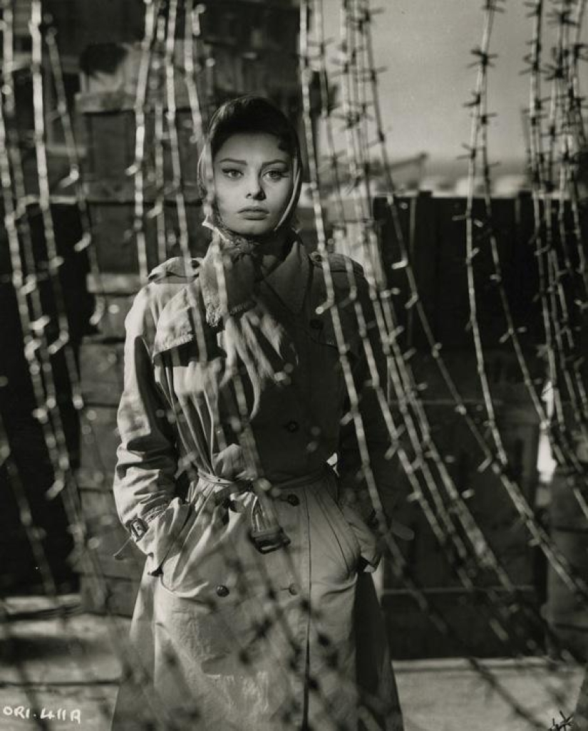 The incomparable Sophia Loren, the most beautiful Italian woman, turned 86 today