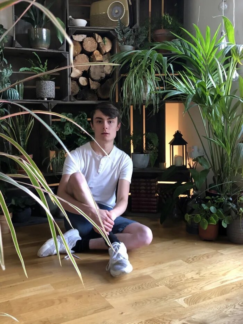 The jungle is calling: how to live in an apartment full of houseplants