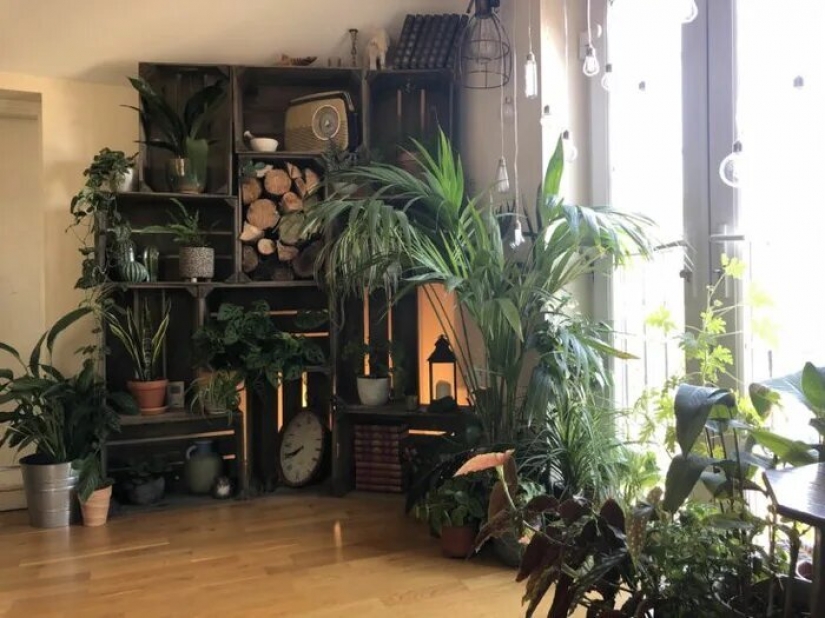 The jungle is calling: how to live in an apartment full of houseplants