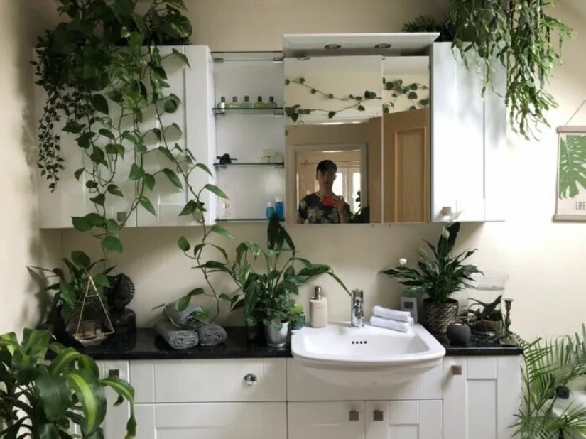 The jungle is calling: how to live in an apartment full of houseplants