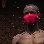 The King of bees is an African who is not afraid of stinging insects