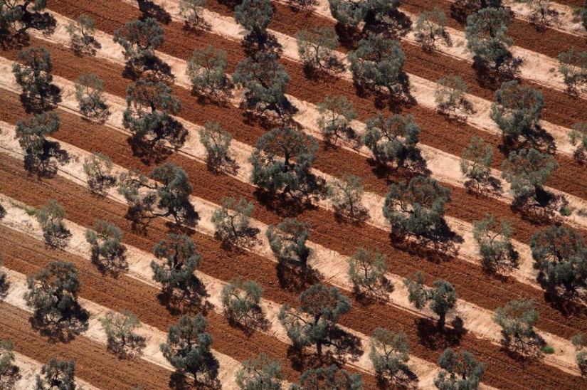 The legendary photo project "Earth seen from the sky" The legendary photo project "Earth seen from the sky"