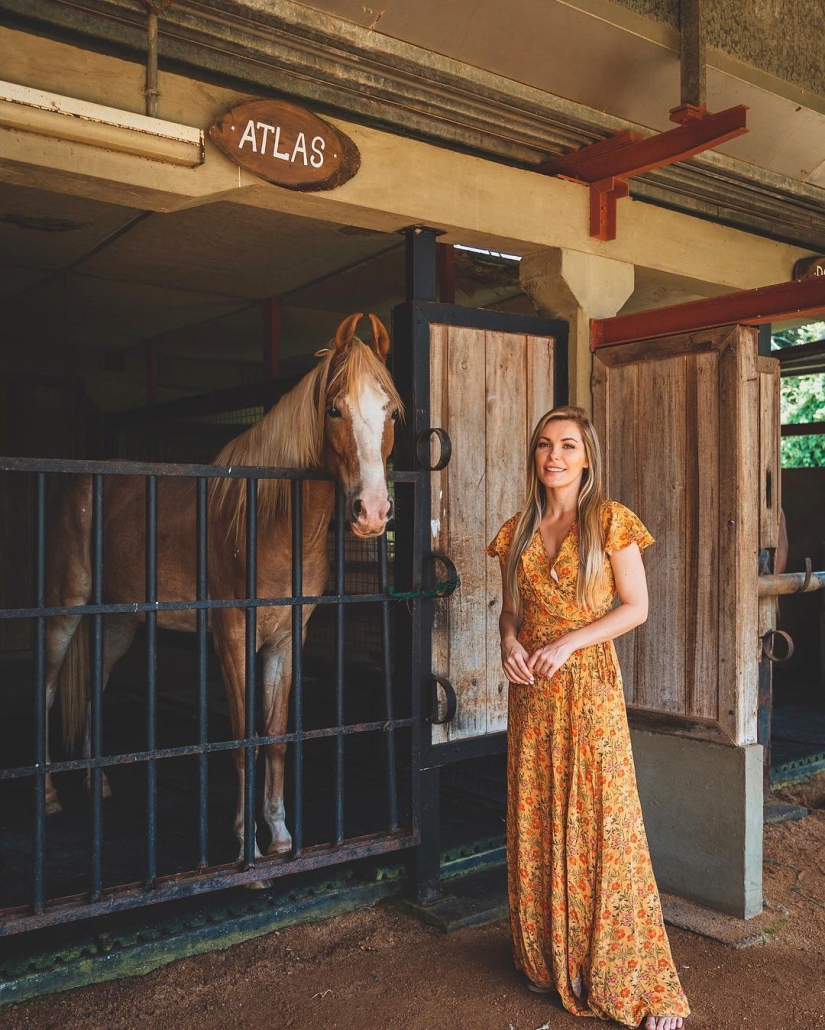 The Merry Widow: The wife of the late Hugh Hefner is enjoying a glamorous life and has already found a new love