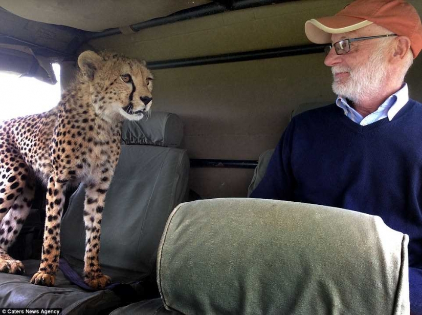 The most awkward moment, when the jeep jumped Cheetah