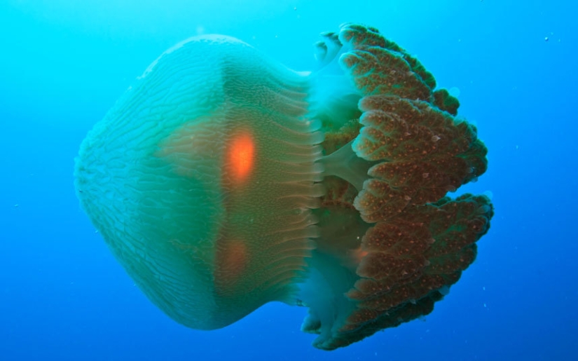 The most dangerous beaches in the world