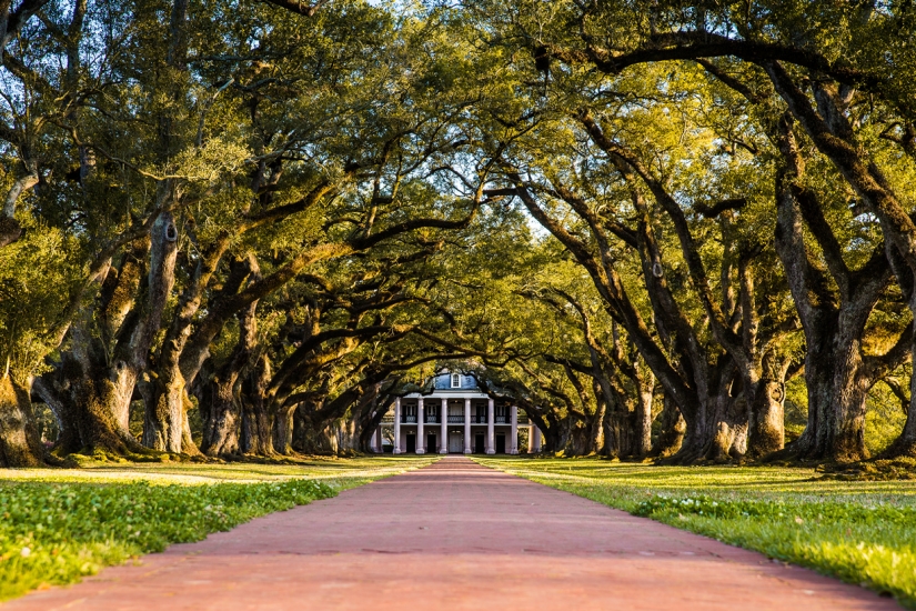 The most exciting avenues on the planet, which is certainly worth a stroll