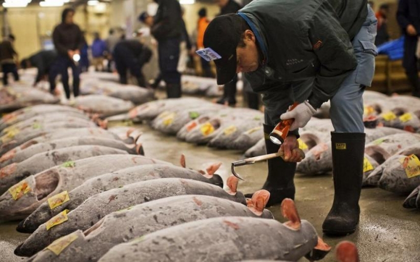 The most interesting markets in the world The most interesting markets in the world