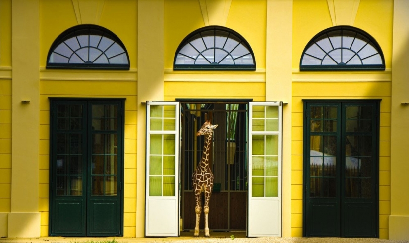 The most spectacular photos of the Fine Art Photography Awards competition