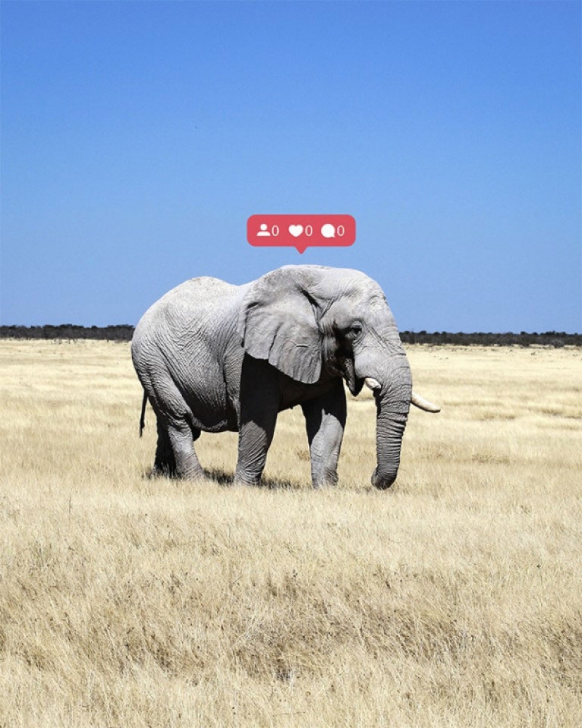 The most spectacular photos of the Fine Art Photography Awards competition