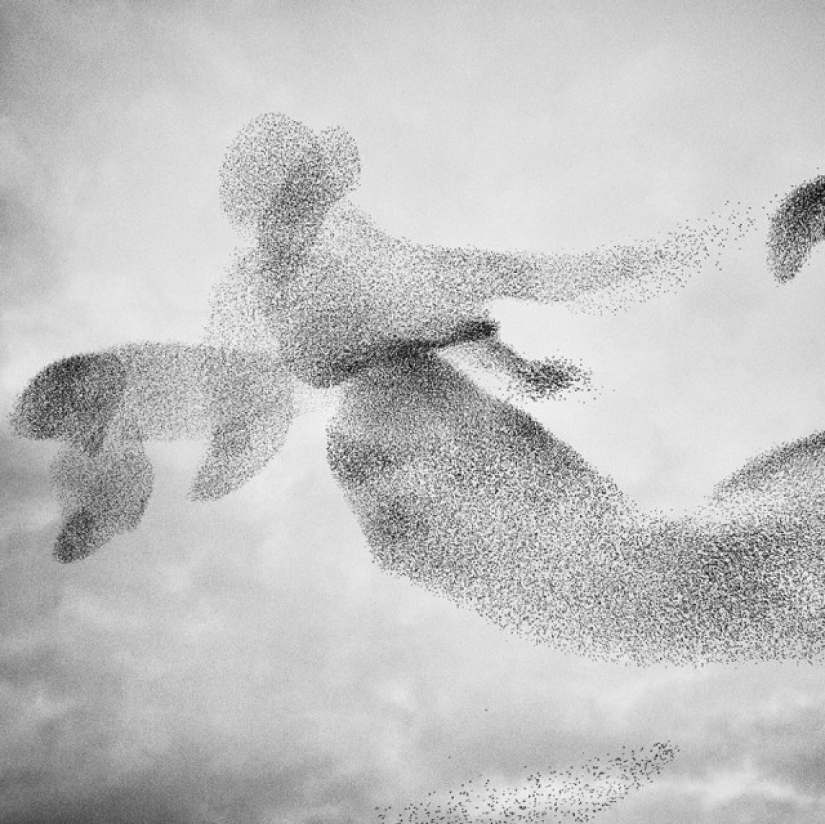 The most spectacular photos of the Fine Art Photography Awards competition