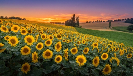 The most spectacular photos of the Fine Art Photography Awards competition