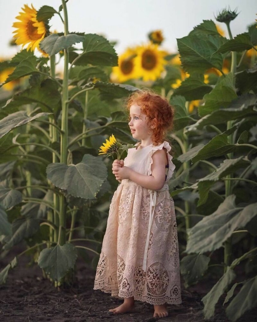 The photographer has created a tale for daughters The photographer has created a tale for daughters