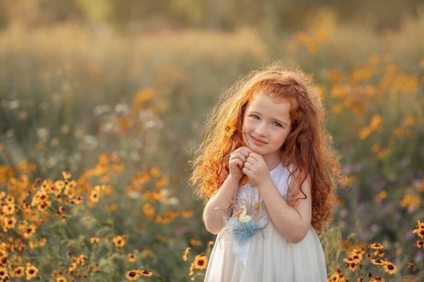 The photographer has created a tale for daughters The photographer has created a tale for daughters