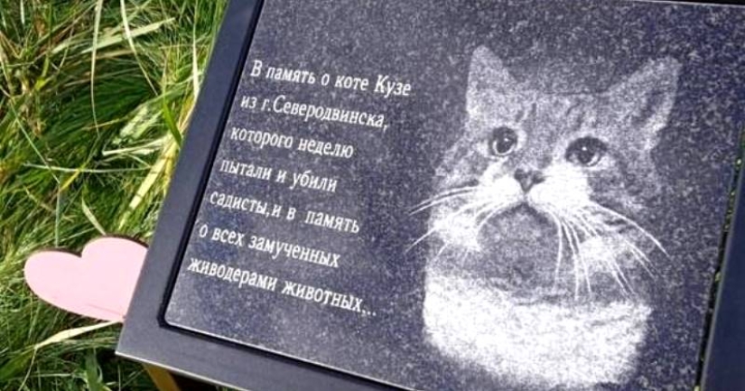 The story of Kuzi, the cat tortured by the knackers, to whom a monument was erected The story of Kuzi, the cat tortured by the knackers, to whom a monument was erected
