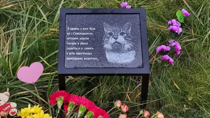 The story of Kuzi, the cat tortured by the knackers, to whom a monument was erected The story of Kuzi, the cat tortured by the knackers, to whom a monument was erected