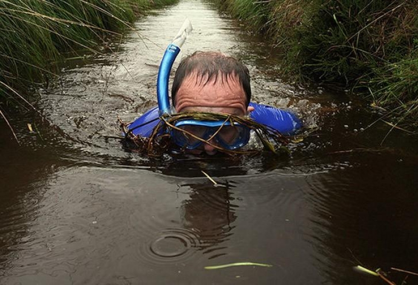 The strange sports that have taken over the world