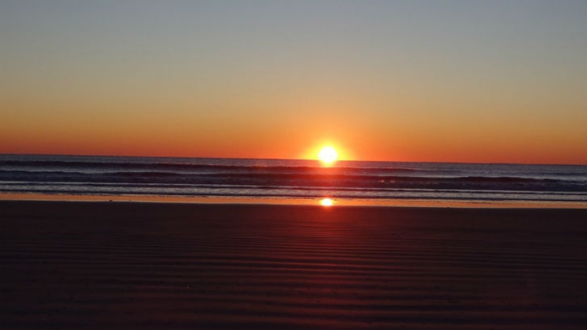 The Strangest Things Ever Sold on eBay The Strangest Things Ever Sold on eBay