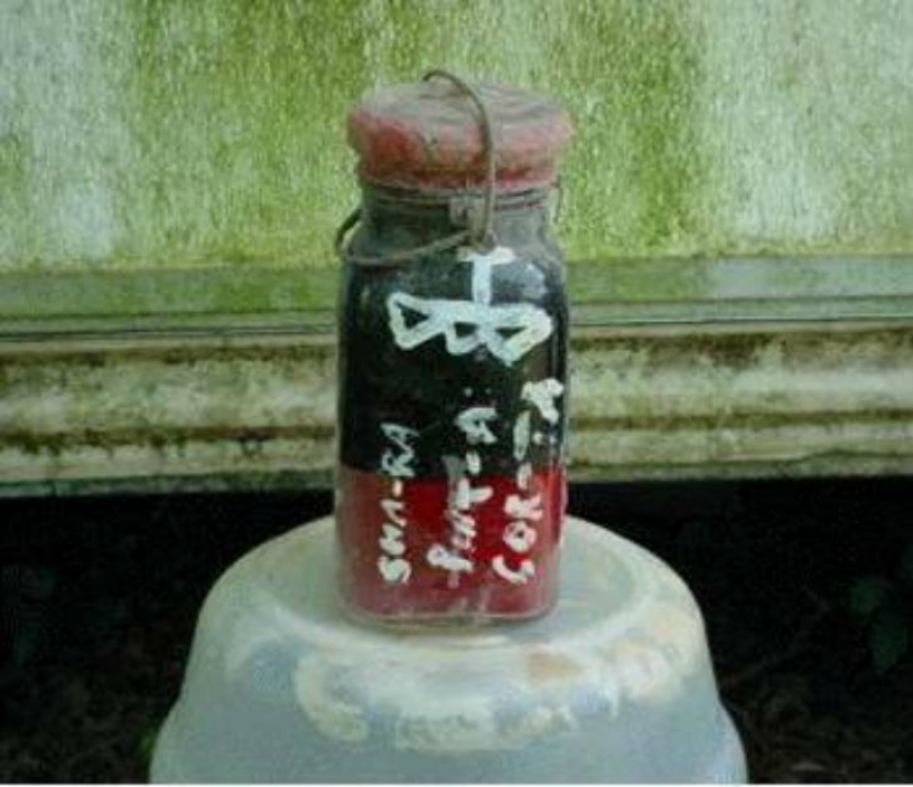 The Strangest Things Ever Sold on eBay The Strangest Things Ever Sold on eBay