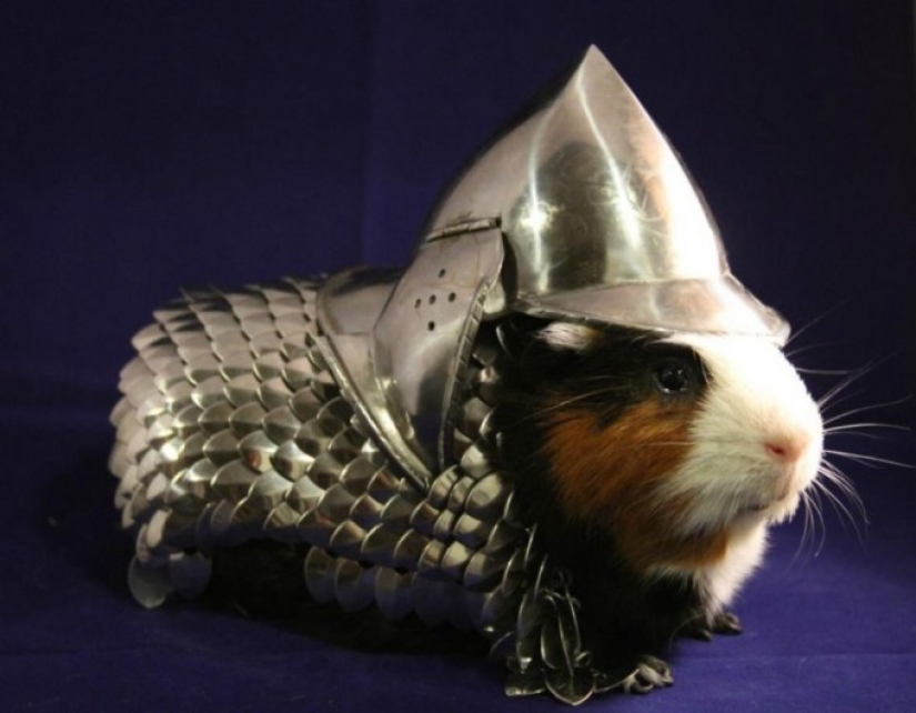 The strangest things sold or sold on eBay The strangest things sold or sold on eBay