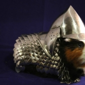 The strangest things sold or sold on eBay The strangest things sold or sold on eBay