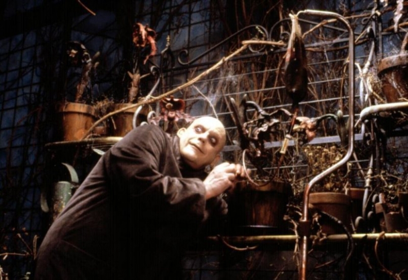 The sweet charm of black humor: unknown facts about the history of the Addams family