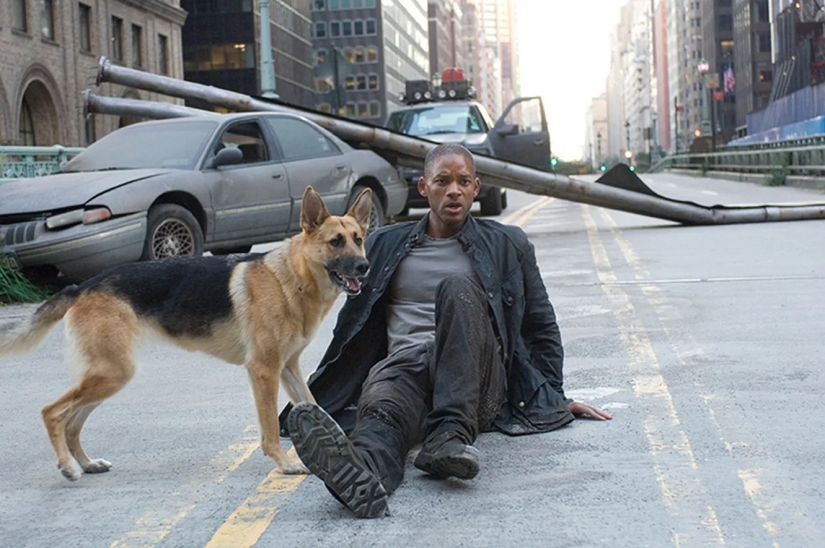 The Trump presidency and Covid-2019: films and books that predicted the future The Trump presidency and Covid-2019: films and books that predicted the future