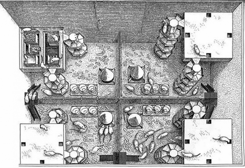 The Universe-25 experiment: How Heaven became Hell