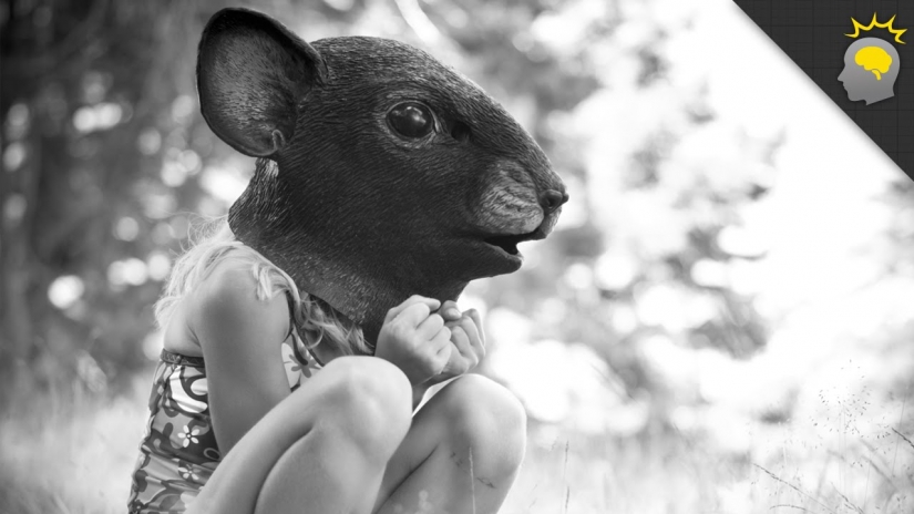 The Universe-25 experiment: How Heaven became Hell