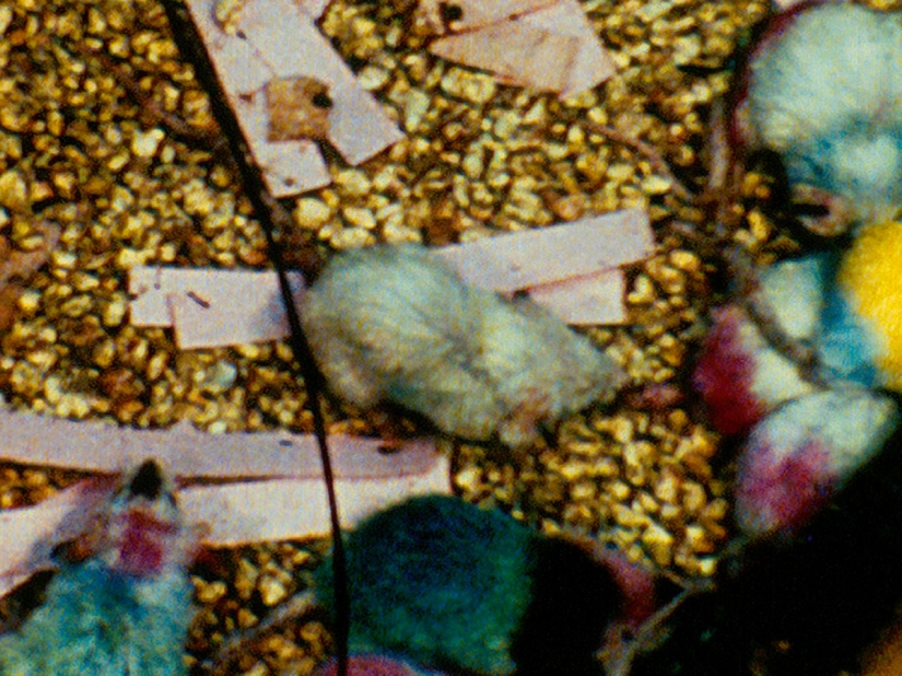 The Universe-25 experiment: How Heaven became Hell