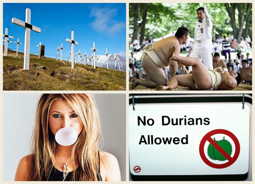 The weirdest laws in the world The weirdest laws in the world