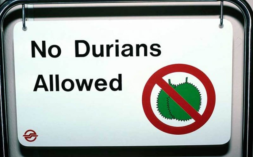 The weirdest laws in the world The weirdest laws in the world