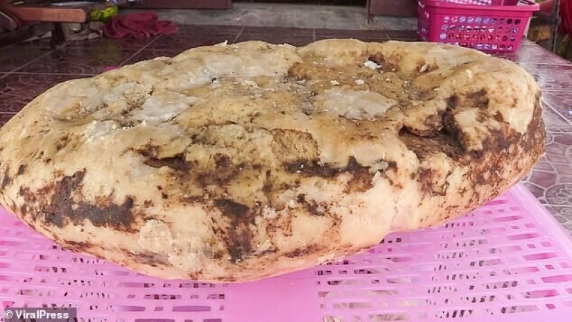 The woman found on the beach vomiting whale that she could make over a quarter million dollars The woman found on the beach vomiting whale that she could make over a quarter million dollars