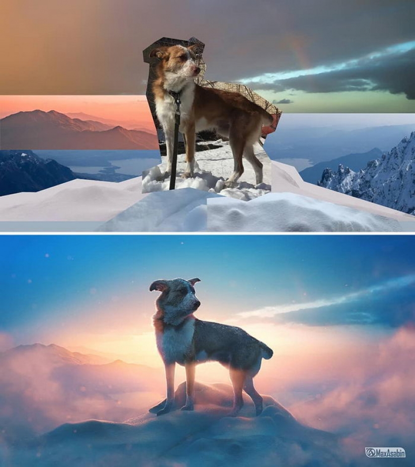 The works of the harsh Russian photoshop master will definitely amaze your imagination The works of the harsh Russian photoshop master will definitely amaze your imagination