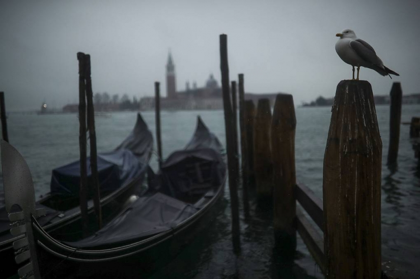 The world's most popular tourist destinations devastated by the coronavirus The world's most popular tourist destinations devastated by the coronavirus