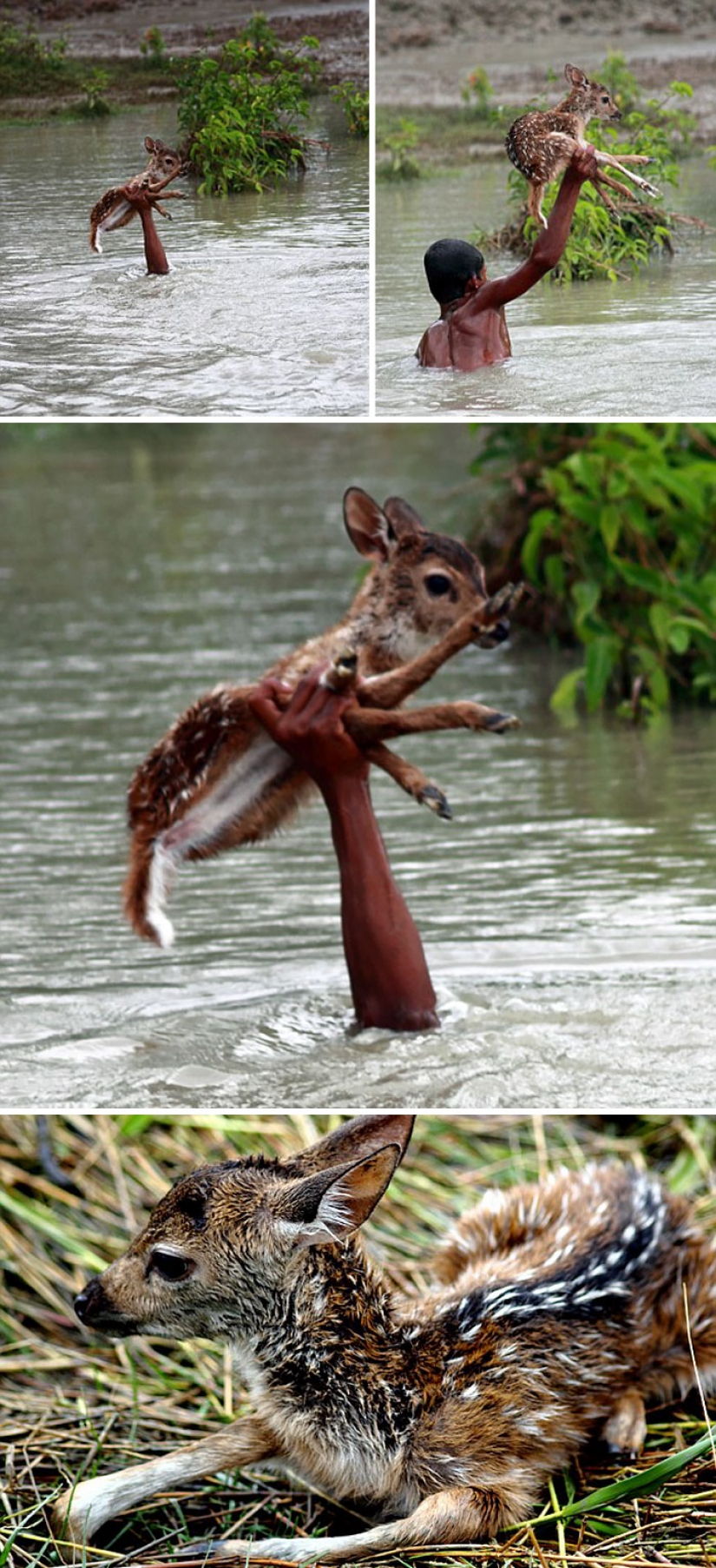 These photos will restore your faith in humanity. These photos will restore your faith in humanity.