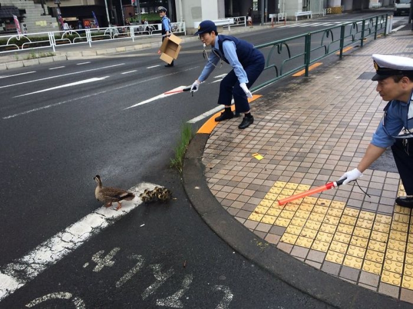 These photos will restore your faith in humanity. These photos will restore your faith in humanity.