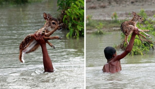 These photos will restore your faith in humanity.