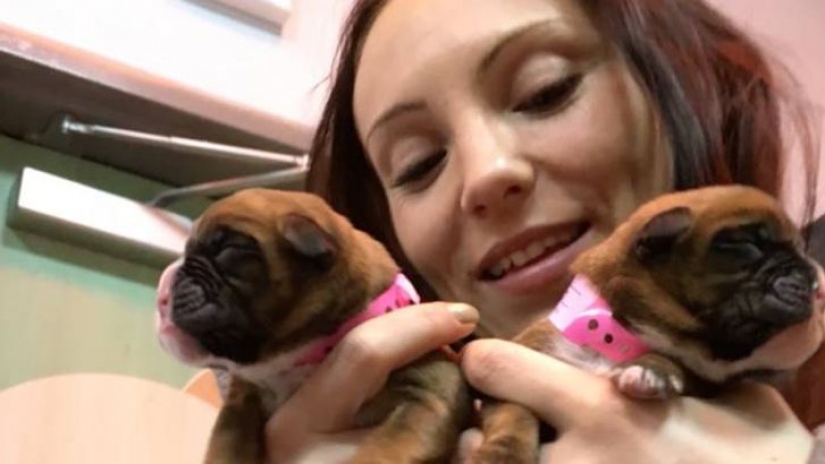 This couple successfully cloned her dog after his death