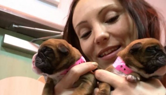 This couple successfully cloned her dog after his death