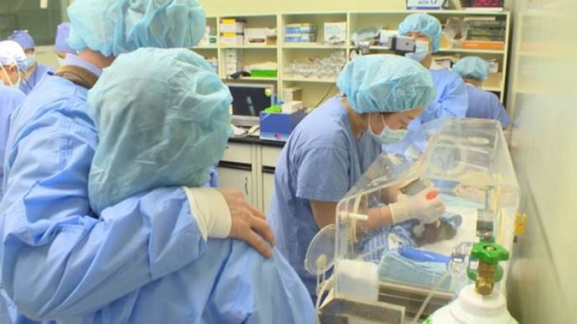 This couple successfully cloned her dog after his death