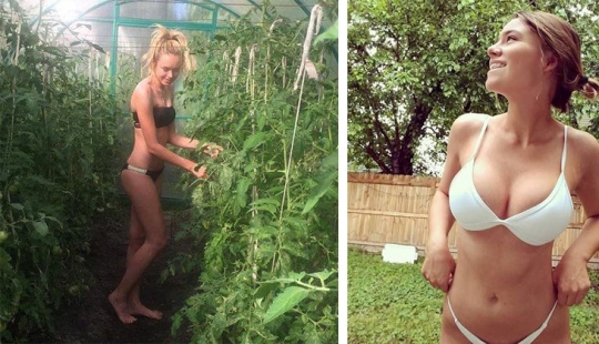 This is not Rio de Janeiro: integramedica instead resorts master gardens and orchards