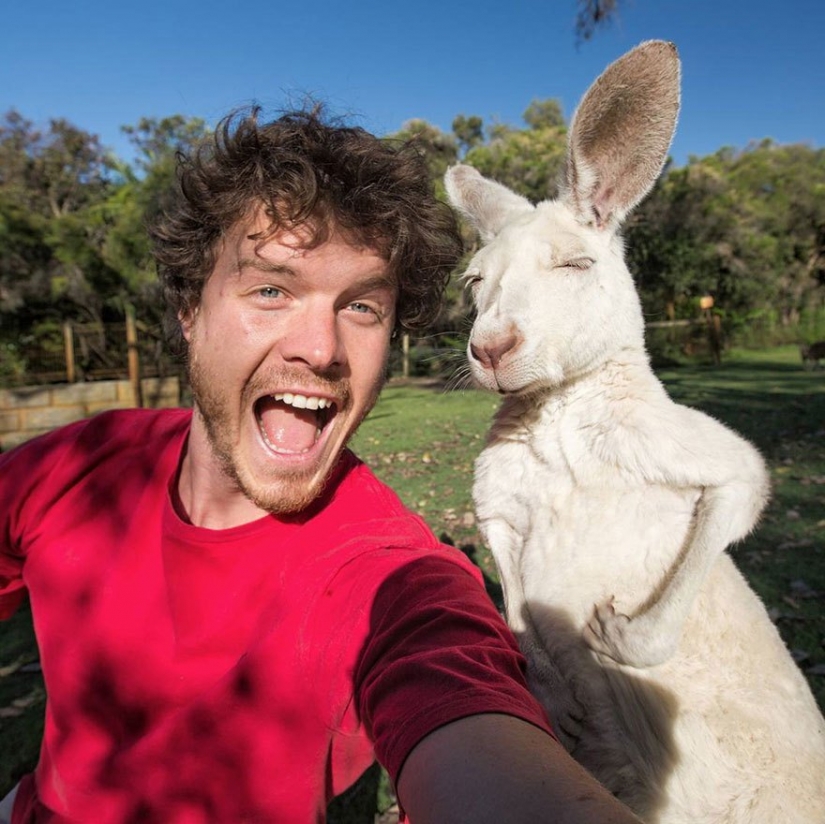 This man has mastered the art of selfies with animals to perfection. This man has mastered the art of selfies with animals to perfection.