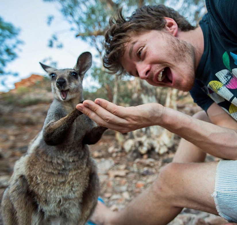 This man has mastered the art of selfies with animals to perfection. This man has mastered the art of selfies with animals to perfection.