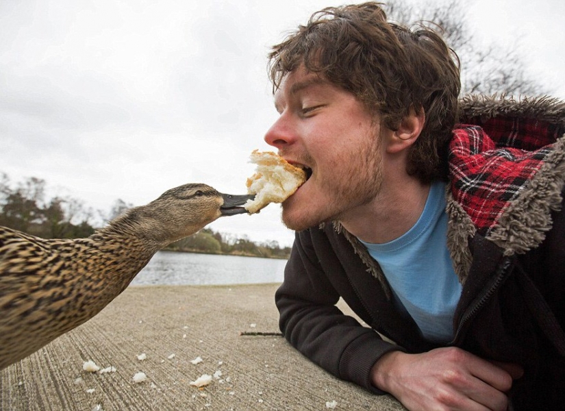 This man has mastered the art of selfies with animals to perfection. This man has mastered the art of selfies with animals to perfection.